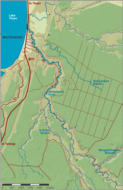 Waitahanui River Map | NZ Fishing